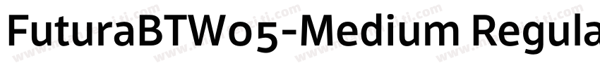 FuturaBTW05-Medium Regular字体转换